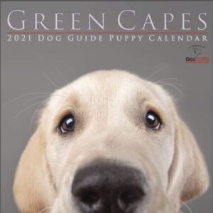 2021 Calendars