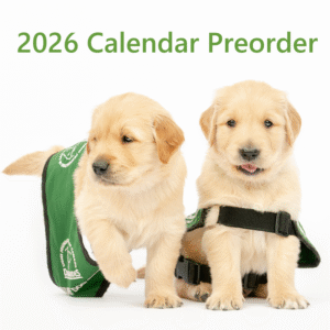 2026 Dog Guide Puppy Calendar