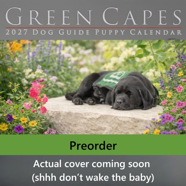 Mock 2027 Calendar Cover