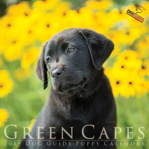 A black lab sit in front of the camera looking adoringly towards the left. The background of the image is of yellow flowers